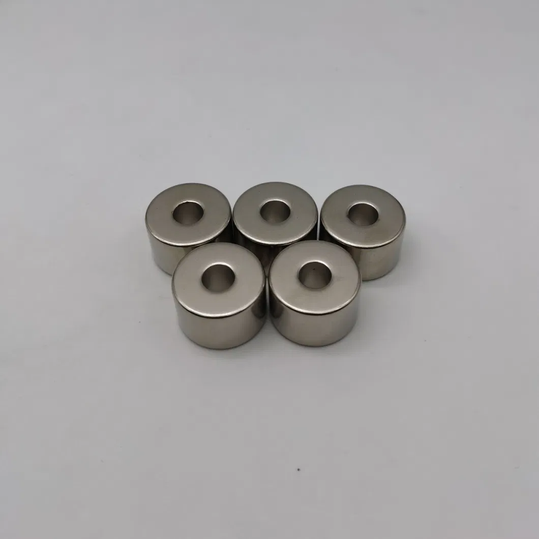 Permanent Ring Magnet Round Shape Neodymium Magnet Plated Nickel NdFeB Magnetic Materials