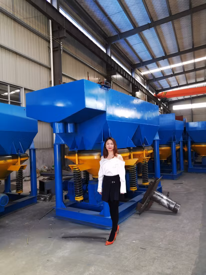 Tin Concentration Processing Machine Jig