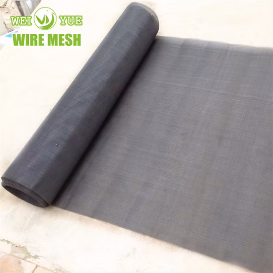 Excellent Material Stainless Steel Crimped Wire Mesh for Molybdenum